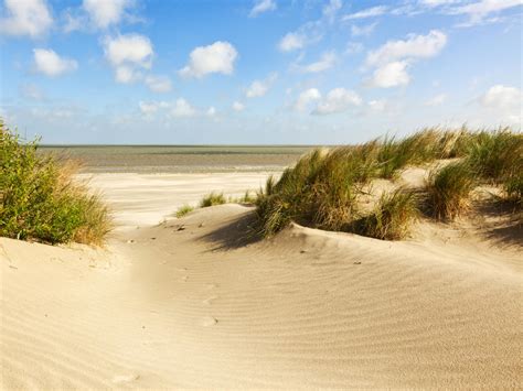 knokke heist beach.